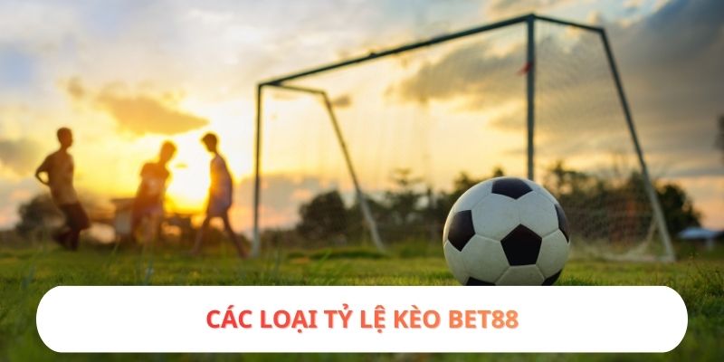 Các loại tỷ lệ kèo BET88