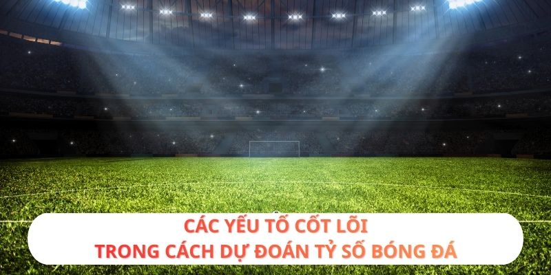 Các yếu tố cốt lõi trong cách dự đoán tỷ số bóng đá