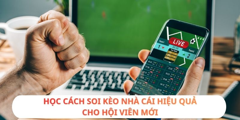 Học cách soi kèo nhà cái