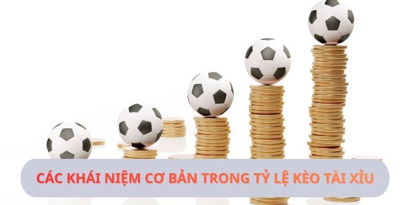 Các khái niệm cơ bản trong tỷ lệ kèo Tài Xỉu