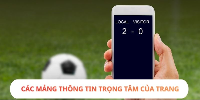 Các mảng thông tin trọng tâm của trang