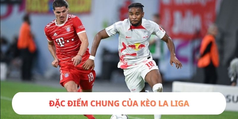 Cách nhà cái xây dựng tỷ lệ kèo Đức