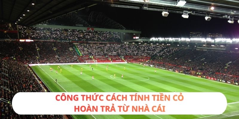 Công thức cách tính tiền cỏ hoàn trả từ nhà cái