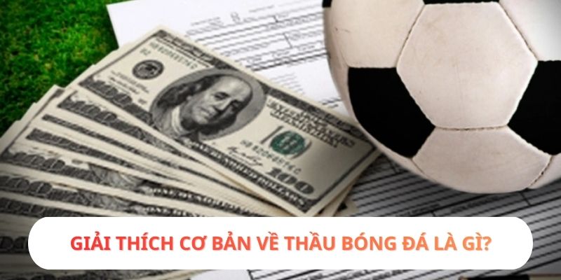Giải thích cơ bản về thầu bóng đá là gì?