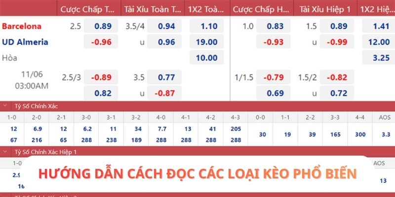 Hướng dẫn cách đọc các loại kèo phổ biến