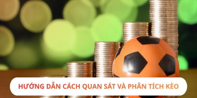 Hướng dẫn cách quan sát và phân tích kèo