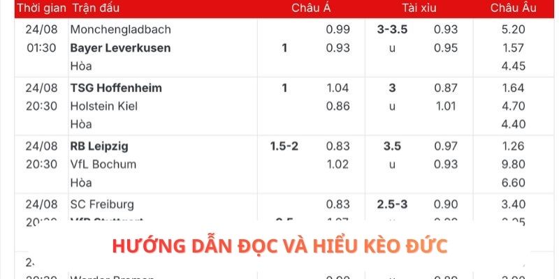 Hướng dẫn đọc và hiểu kèo Đức