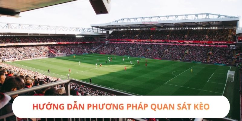 Hướng dẫn phương pháp quan sát kèo