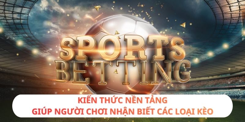 Kiến thức nền tảng giúp người chơi nhận biết các loại kèo