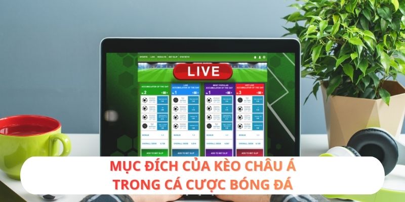 Mục đích của kèo Châu Á trong cá cược bóng đá