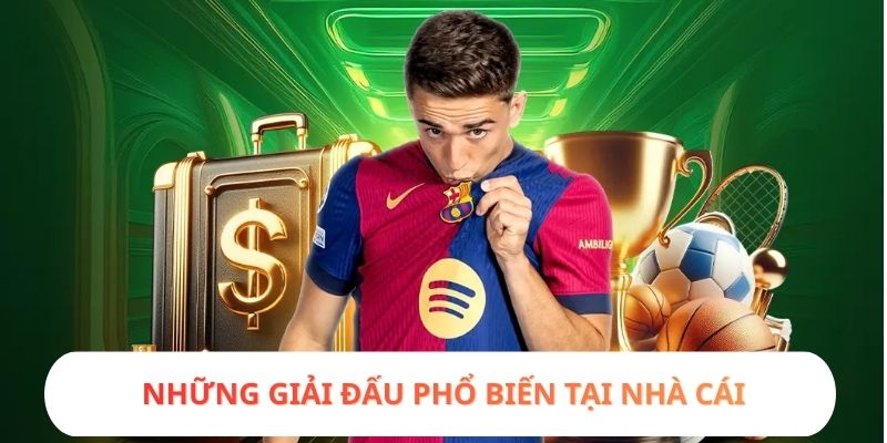 Những giải đấu phổ biến tại nhà cái