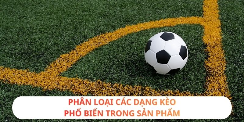Phân loại các dạng kèo phổ biến trong sản phẩm
