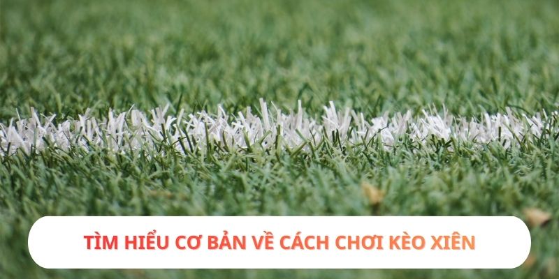 Tìm hiểu cơ bản về cách chơi kèo xiên