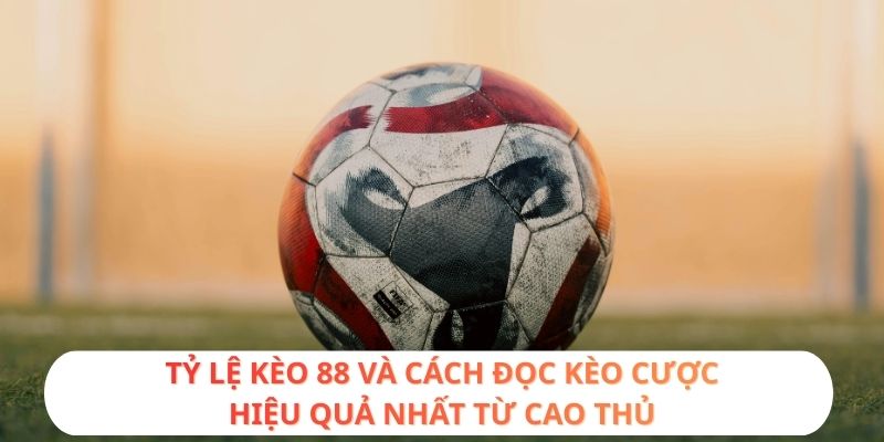 Tỷ lệ kèo 88